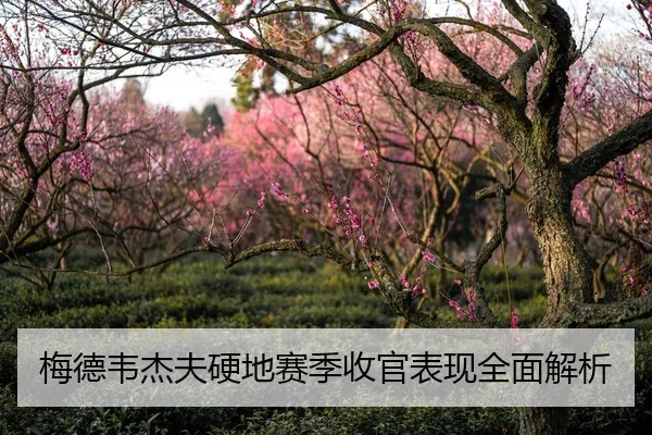 梅德韦杰夫硬地赛季收官表现全面解析
