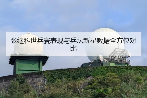 张继科世乒赛表现与乒坛新星数据全方位对比