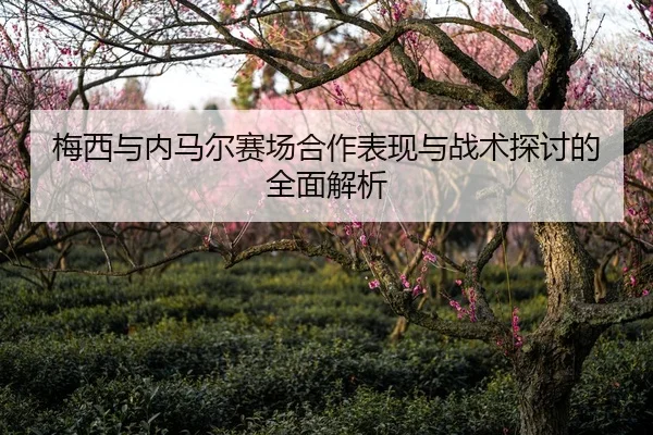 梅西与内马尔赛场合作表现与战术探讨的全面解析